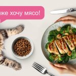 BARF рацион или сушка: что обычно назначает ветеринарный врач