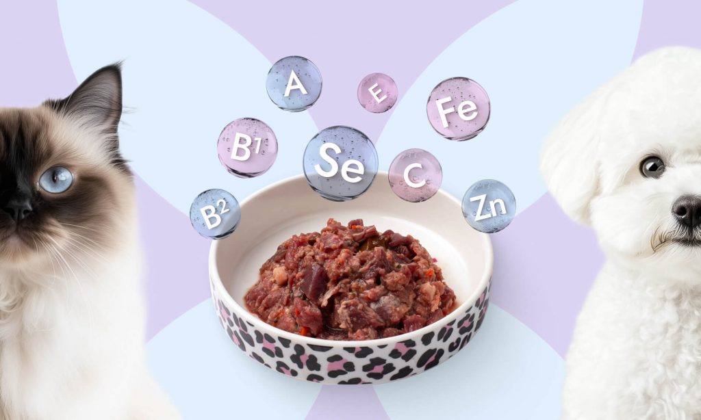 Кормление при онкологии: натуральный рацион улучшает качество жизни