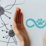 Онкология у кошки или собаки: повод менять питание