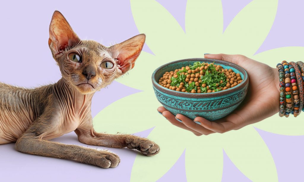 Веганский корм — здоровая диета или смертельная опасность