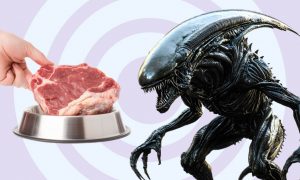 Паразиты в сыром мясе: а стоит ли бояться